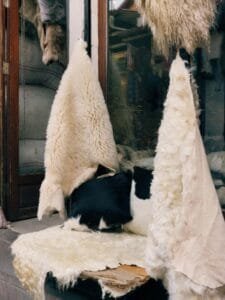 Moroccan Sheepskin Rug: Crafted with Heart and Art Moroccan sheepskin rug hides
